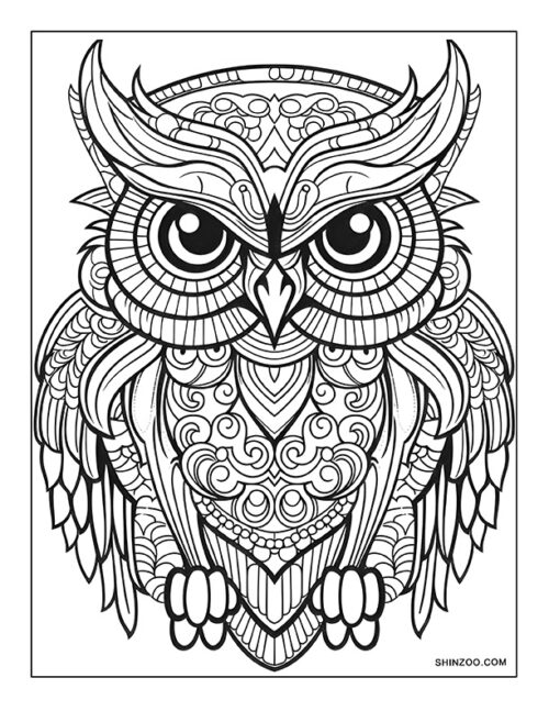Crested Owl Coloring Page 03