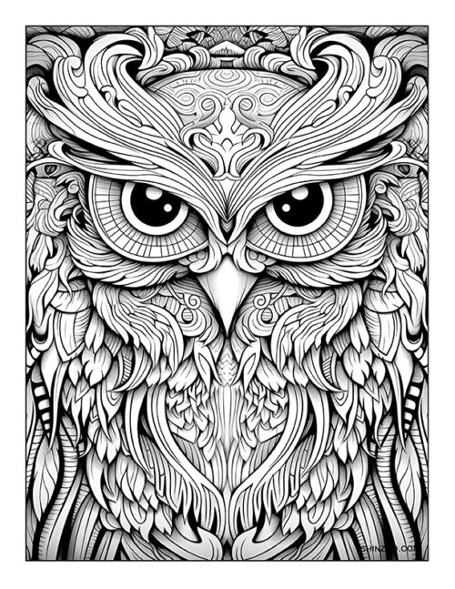 Crested Owl Coloring Page 05