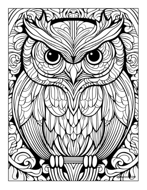 Crested Owl Coloring Page 07