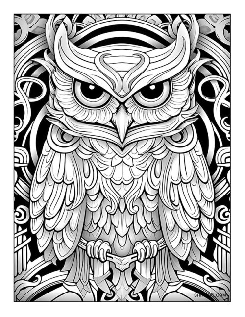 Crested Owl Coloring Page 08