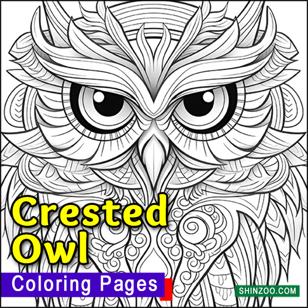 Crested Owl Coloring Pages