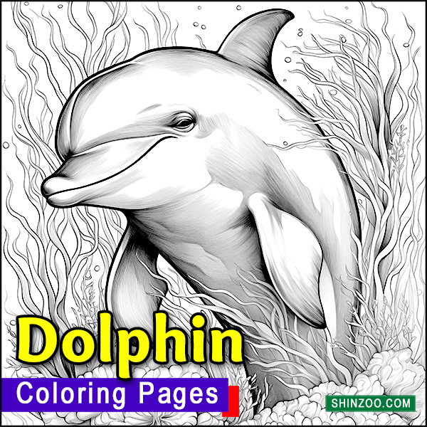 Lovable Dolphin Printable Coloring Pages