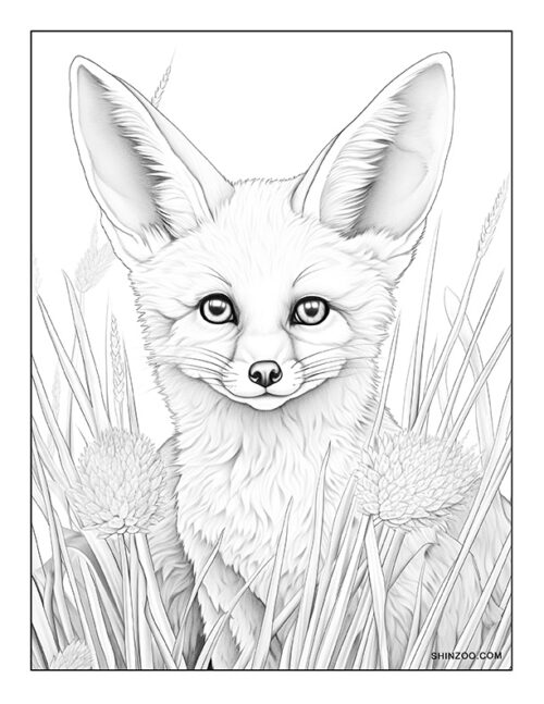 Fennec Fox Coloring Page 02
