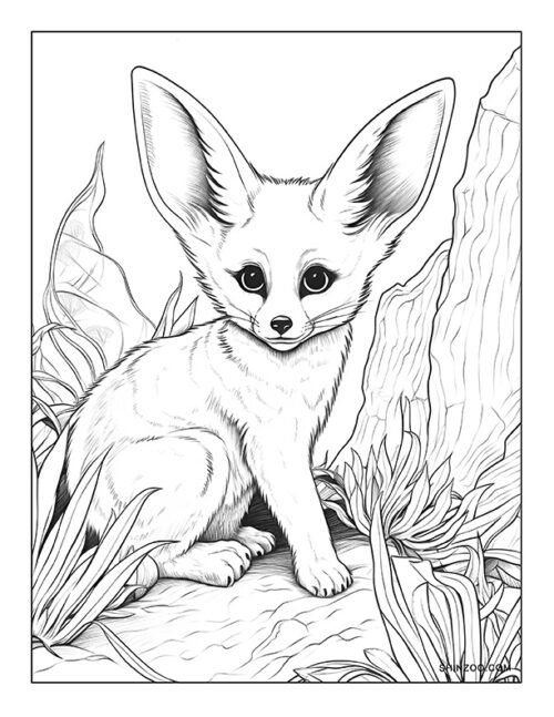 Fennec Fox Coloring Page 07