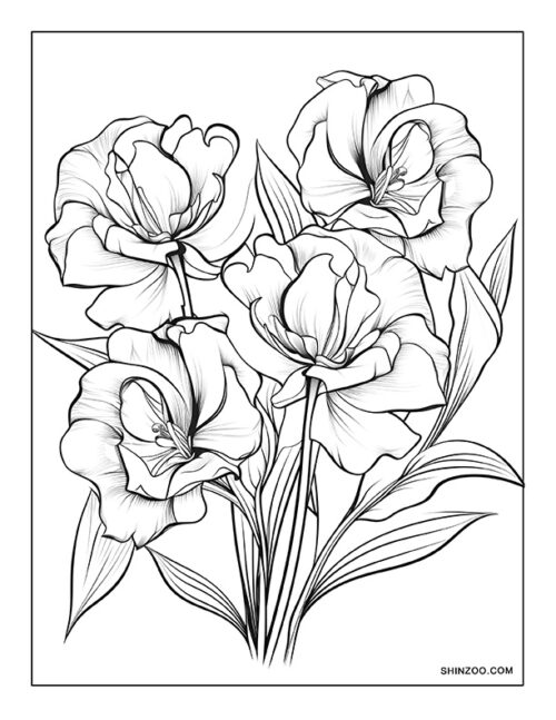 Godetia Grandiflora Coloring Page 03