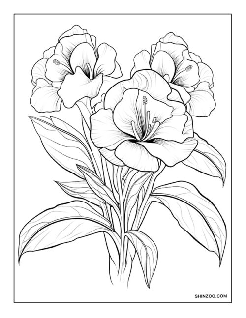 Godetia Grandiflora Coloring Page 04