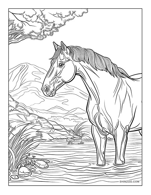 horse enjoying water coloring page printable free