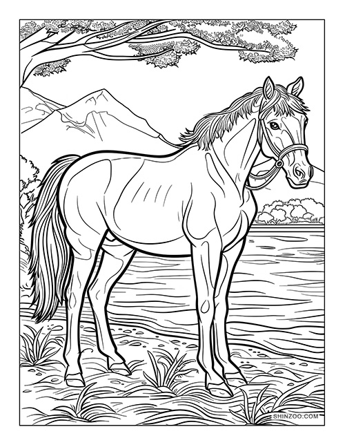 horse near the river in the woods coloring page