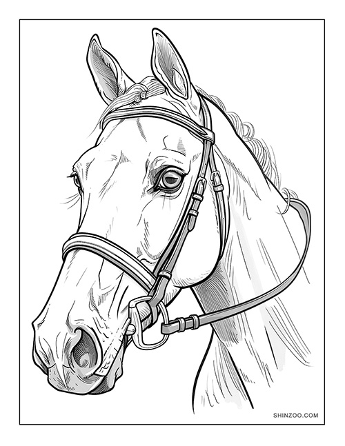 horse portrait coloring page printable free