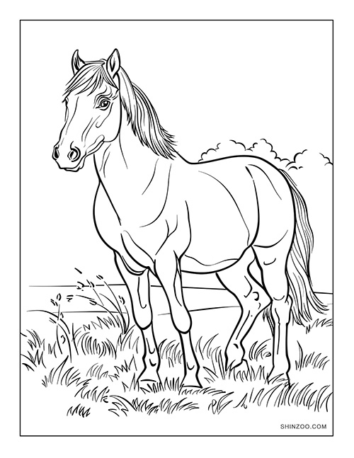 horse line art coloring page printable