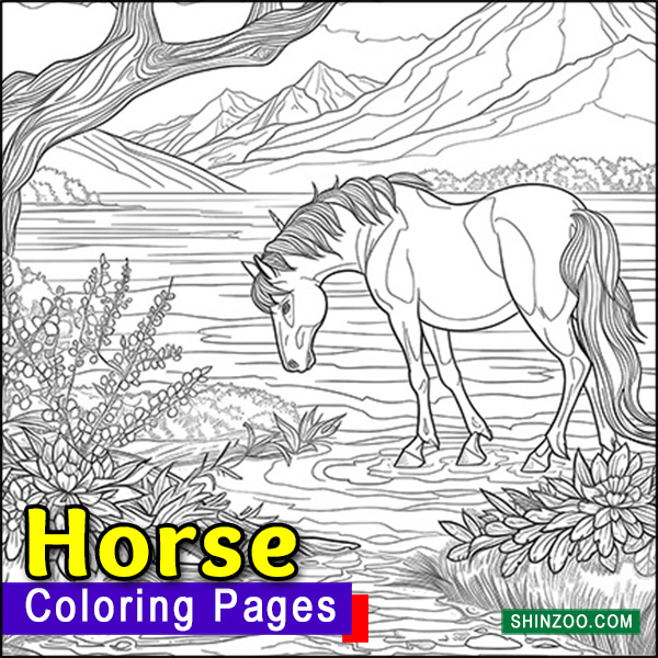 Magnificent Horses Coloring Pages Printable