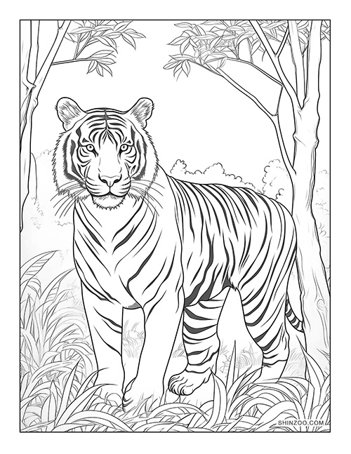 Indochinese Tiger Coloring Page 02