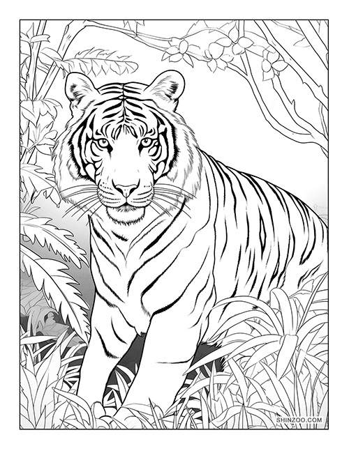 Indochinese Tiger Coloring Page 04