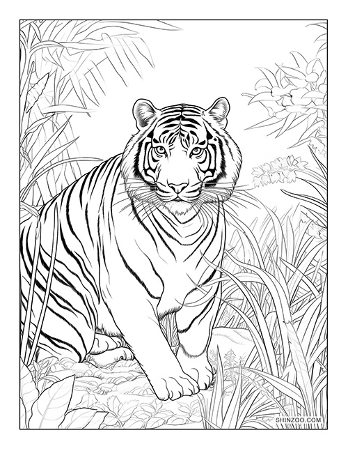 Indochinese Tiger Coloring Page 06