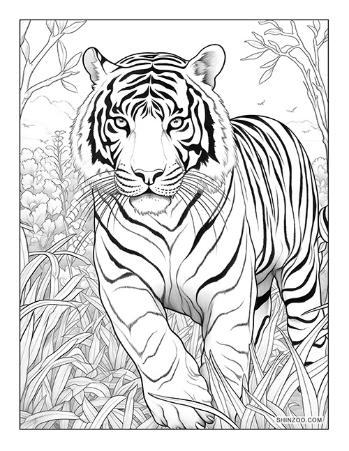 Indochinese Tiger Coloring Page 08