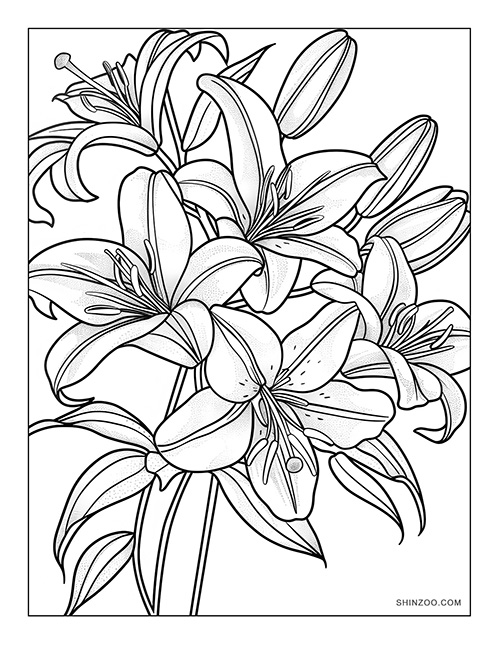 lily flowers to color free