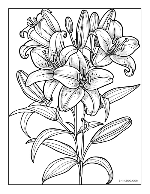 lily flower coloring page printable free