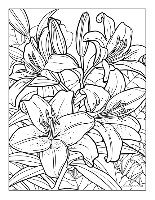 wild lilies in the garden coloring page