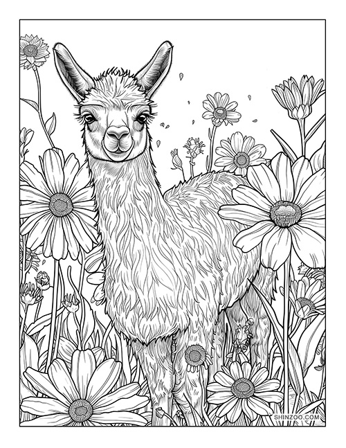 Llama with Flowers Coloring Page 04