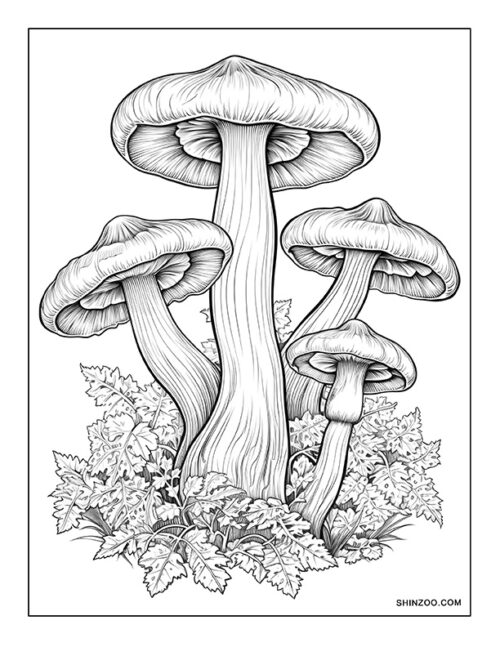 Mushroom Coloring Page 03