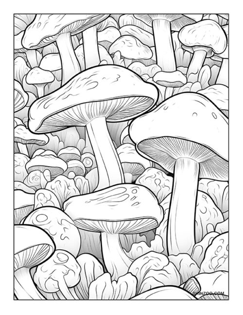 Mushroom Coloring Page 04
