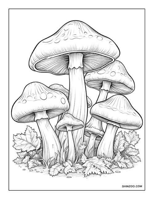 Mushroom Coloring Page 05