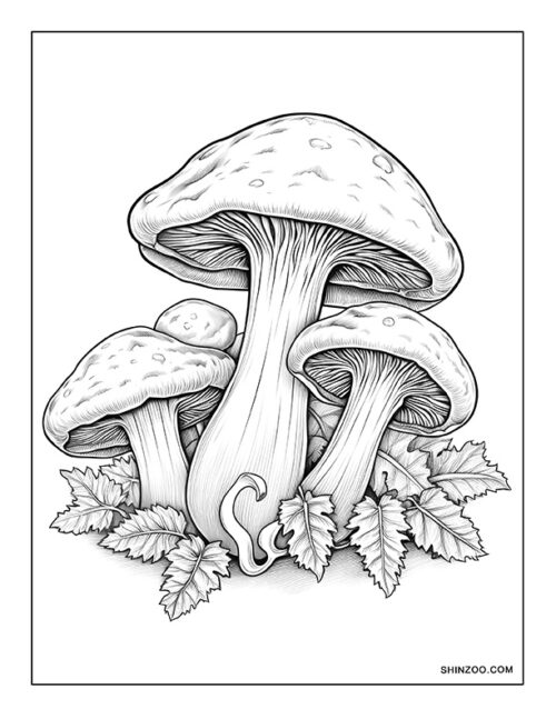 Mushroom Coloring Page 06