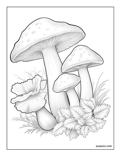 Mushroom Coloring Page 09