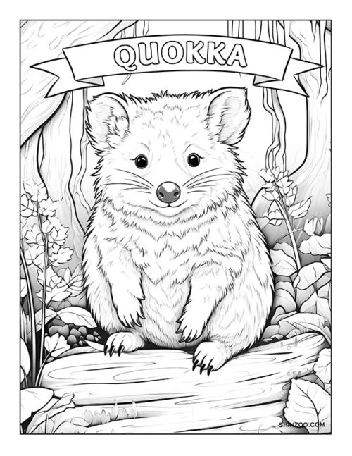 Quokka Coloring Page 01