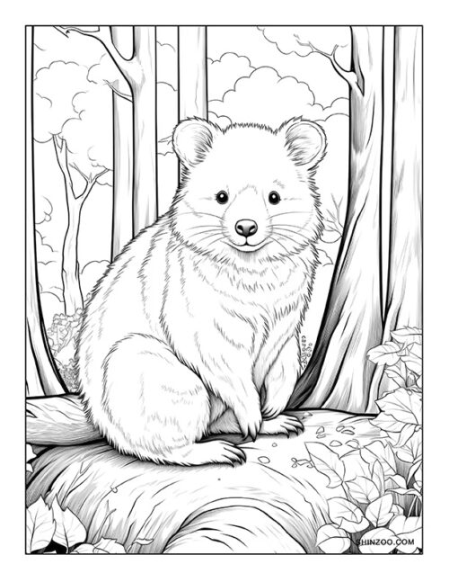 Quokka Coloring Page 02