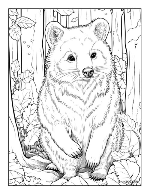 Quokka Coloring Page 03