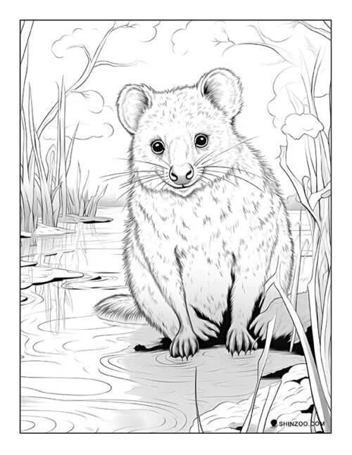 Quokka Coloring Page 06