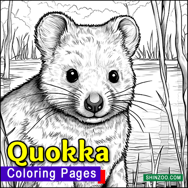 Quokka Coloring Pages
