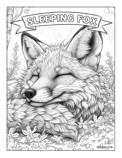 Sleeping Fox Coloring Page 01