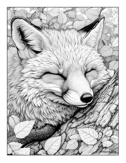 Sleeping Fox Coloring Page 02