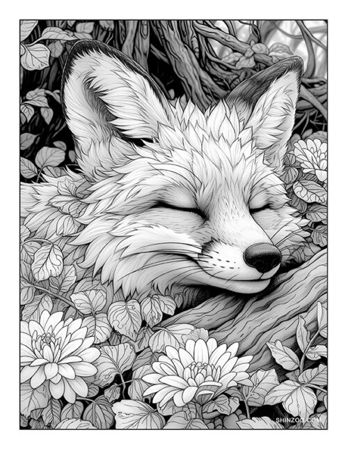 Sleeping Fox Coloring Page 03