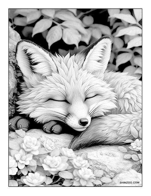 Sleeping Fox Coloring Page 04