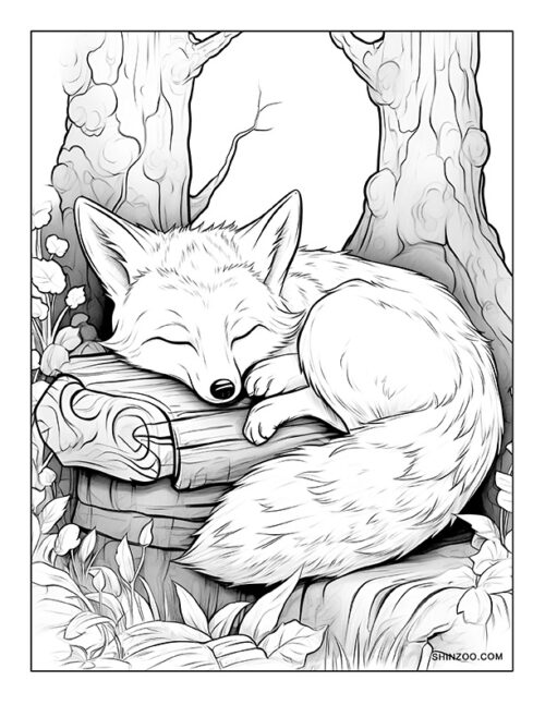 Sleeping Fox Coloring Page 05