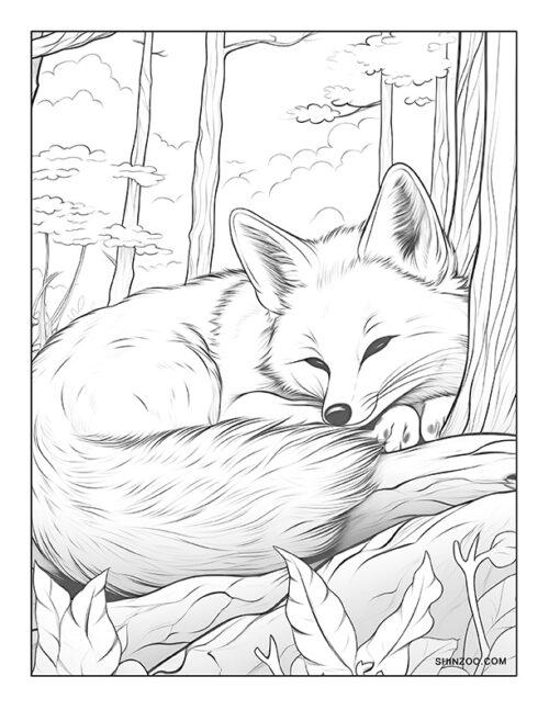 Sleeping Fox Coloring Page 06