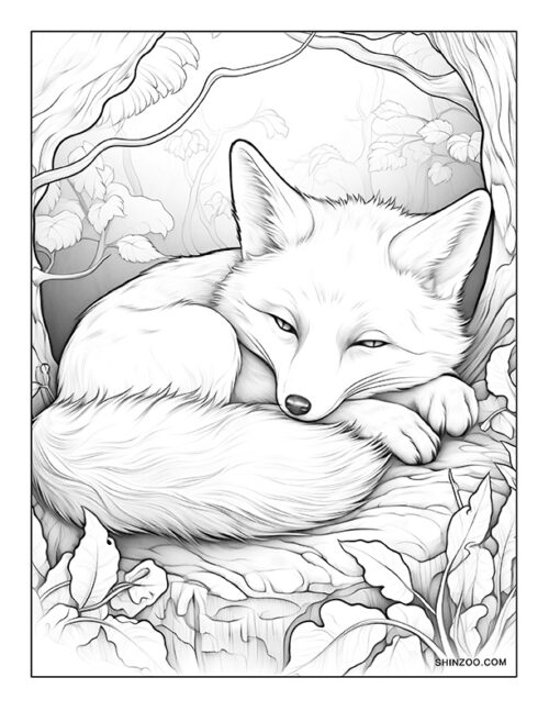 Sleeping Fox Coloring Page 08