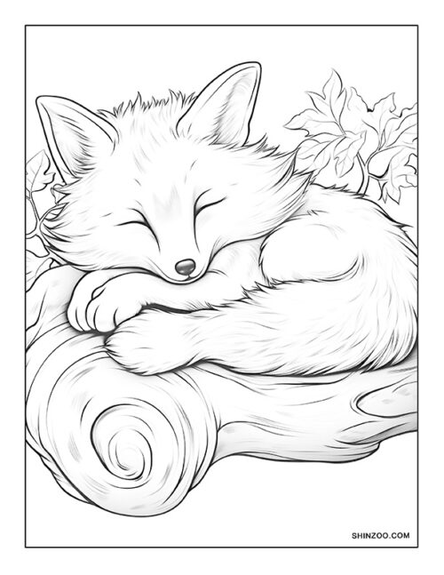 Sleeping Fox Coloring Page 09