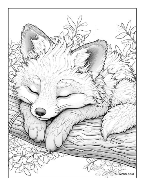 Sleeping Fox Coloring Page 10