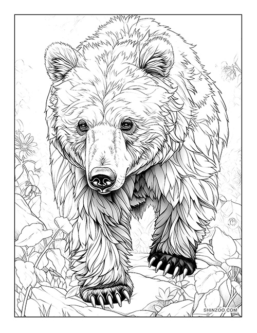 Sun Bear Coloring Page 04
