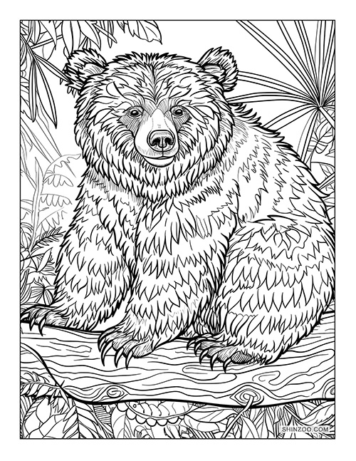 Sun Bear Coloring Page 05