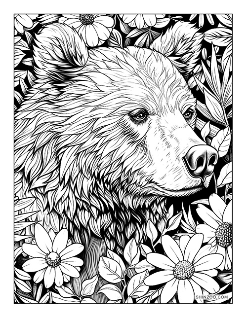 Sun Bear Coloring Page 06