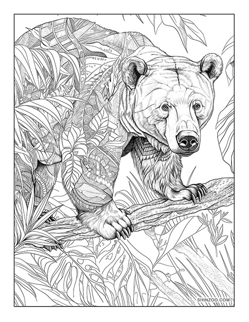 Sun Bear Coloring Page 09