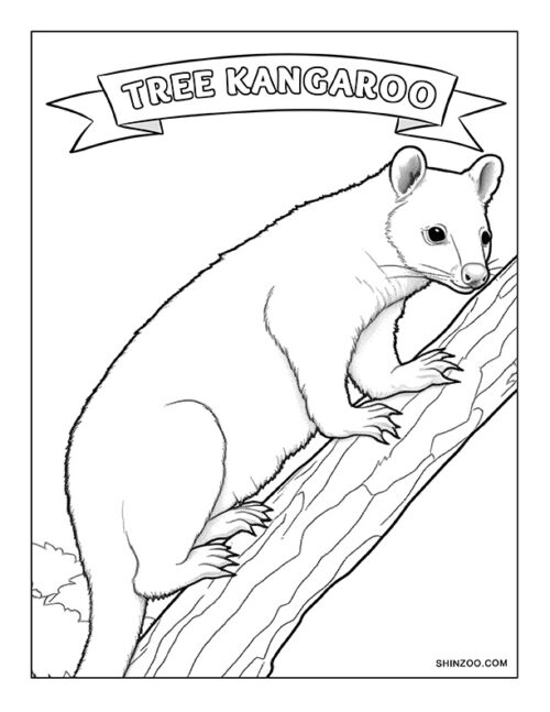 Tree Kangaroo Coloring Page 01