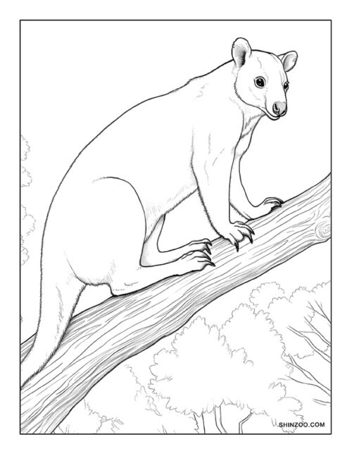 Tree Kangaroo Coloring Page 02