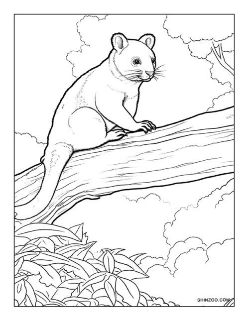 Tree Kangaroo Coloring Page 05