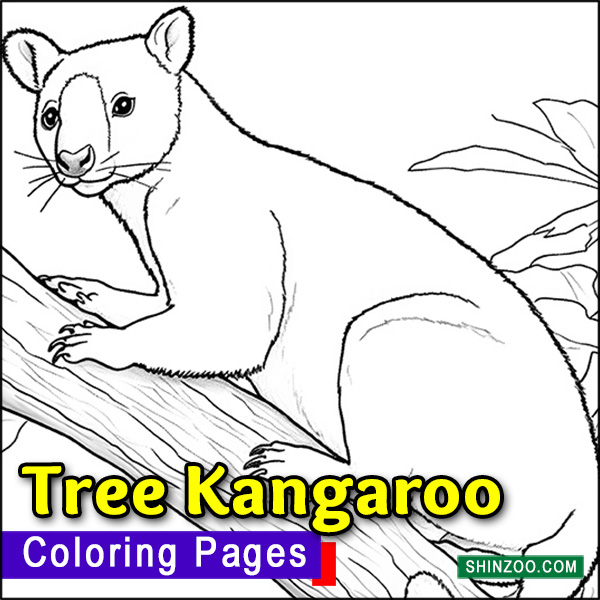 Tree Kangaroo Coloring Pages Printable